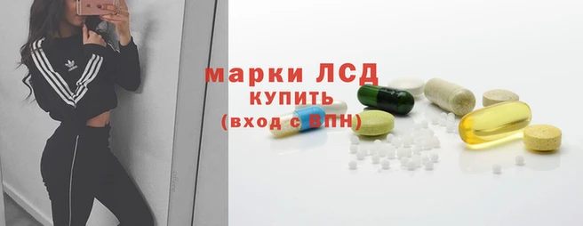спиды Гусев