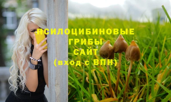 спиды Гусев